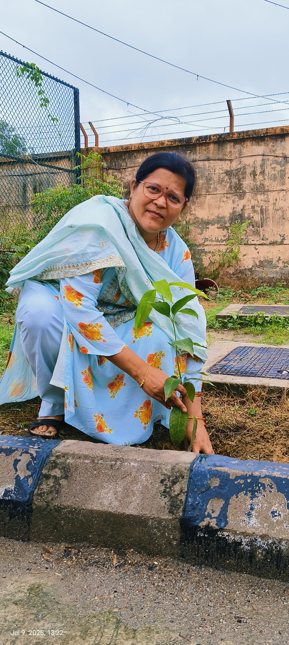 Tree Plantation July 2025
